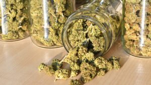 Read more about the article How to Store Bulk Weed