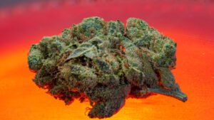 Read more about the article 8 Highest THC Strains