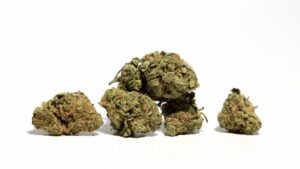 Read more about the article An Eighth of Weed is More Than 3.5g. Does it Matter?